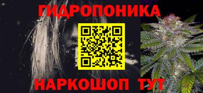 индика Анапа